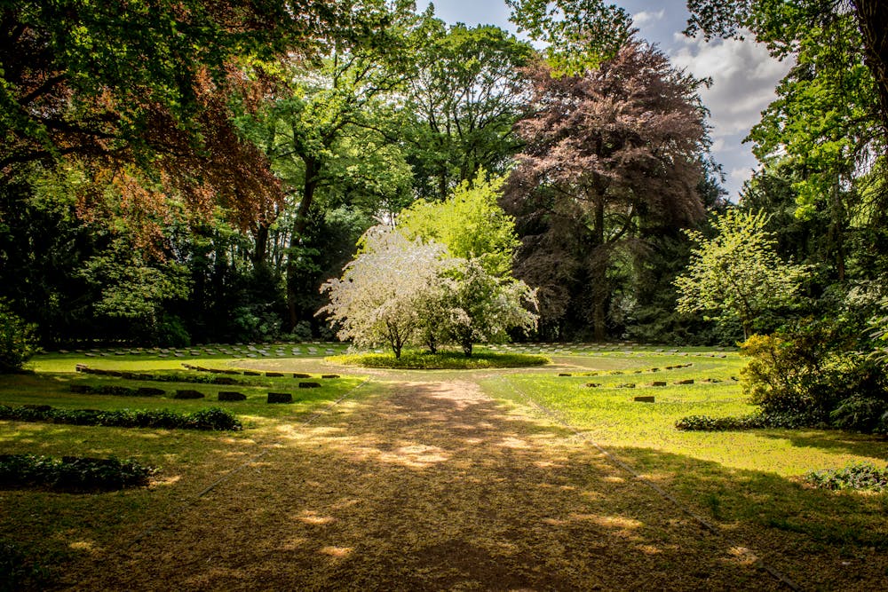 8 Tipps für einen pflegeleichten und schönen Garten