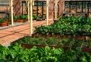 Gartenbewässerung selber bauen - so bewässert man seinen Garten automatisch