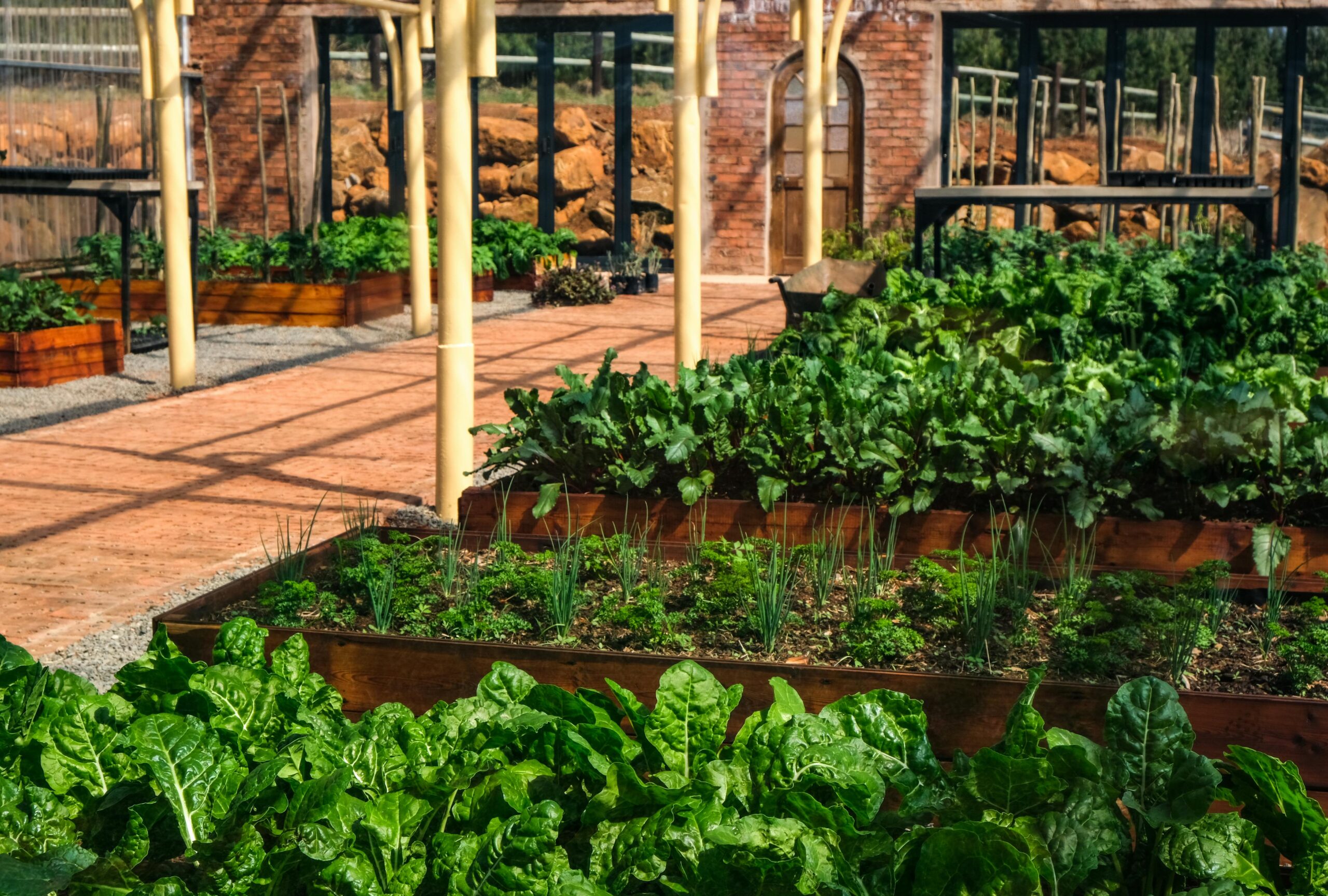 Gartenbewässerung selber bauen - so bewässert man seinen Garten automatisch