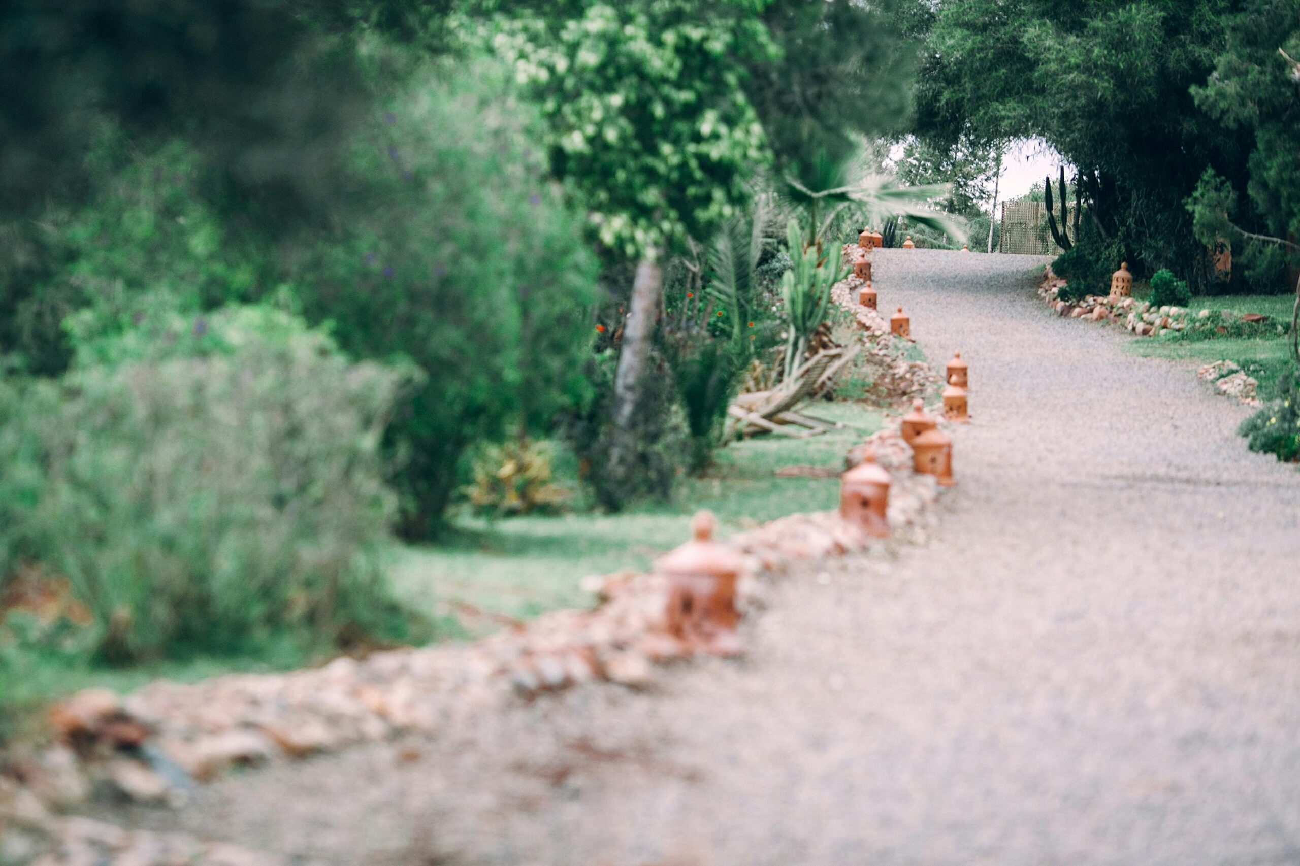 10 kreative Ideen für einen einzigartigen Gartenweg