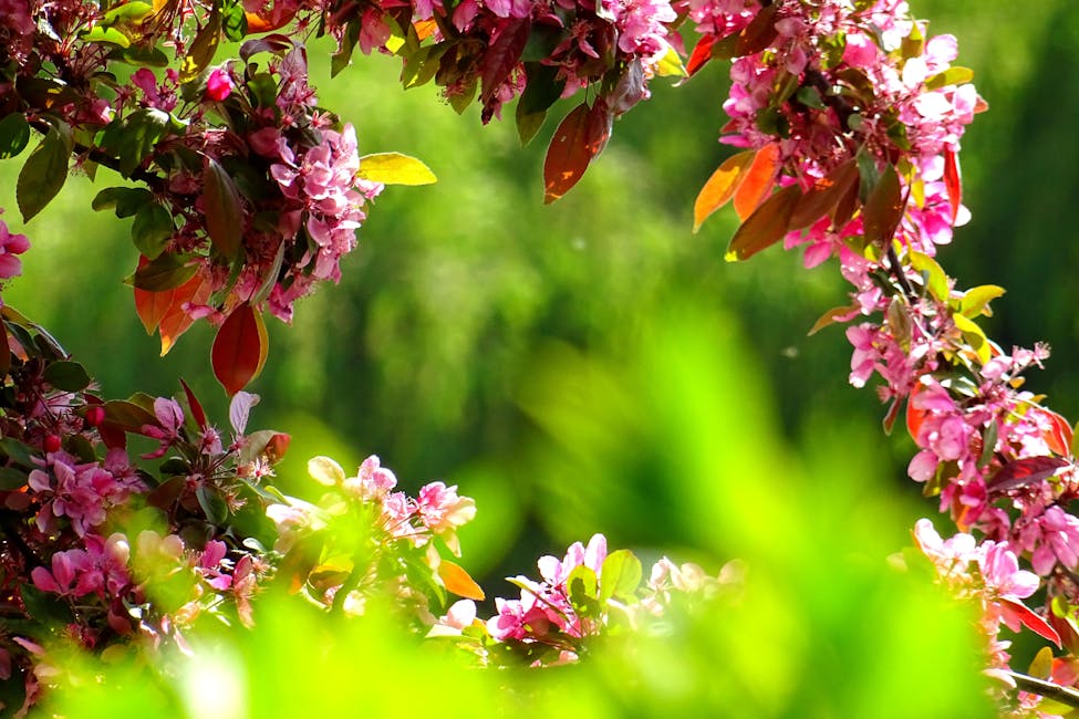 Gartenarbeit für Anfänger So starten Sie richtig