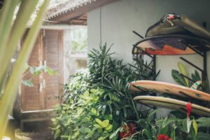 Welche Pflanzen sind pflegeleicht und ideal für den Garten?