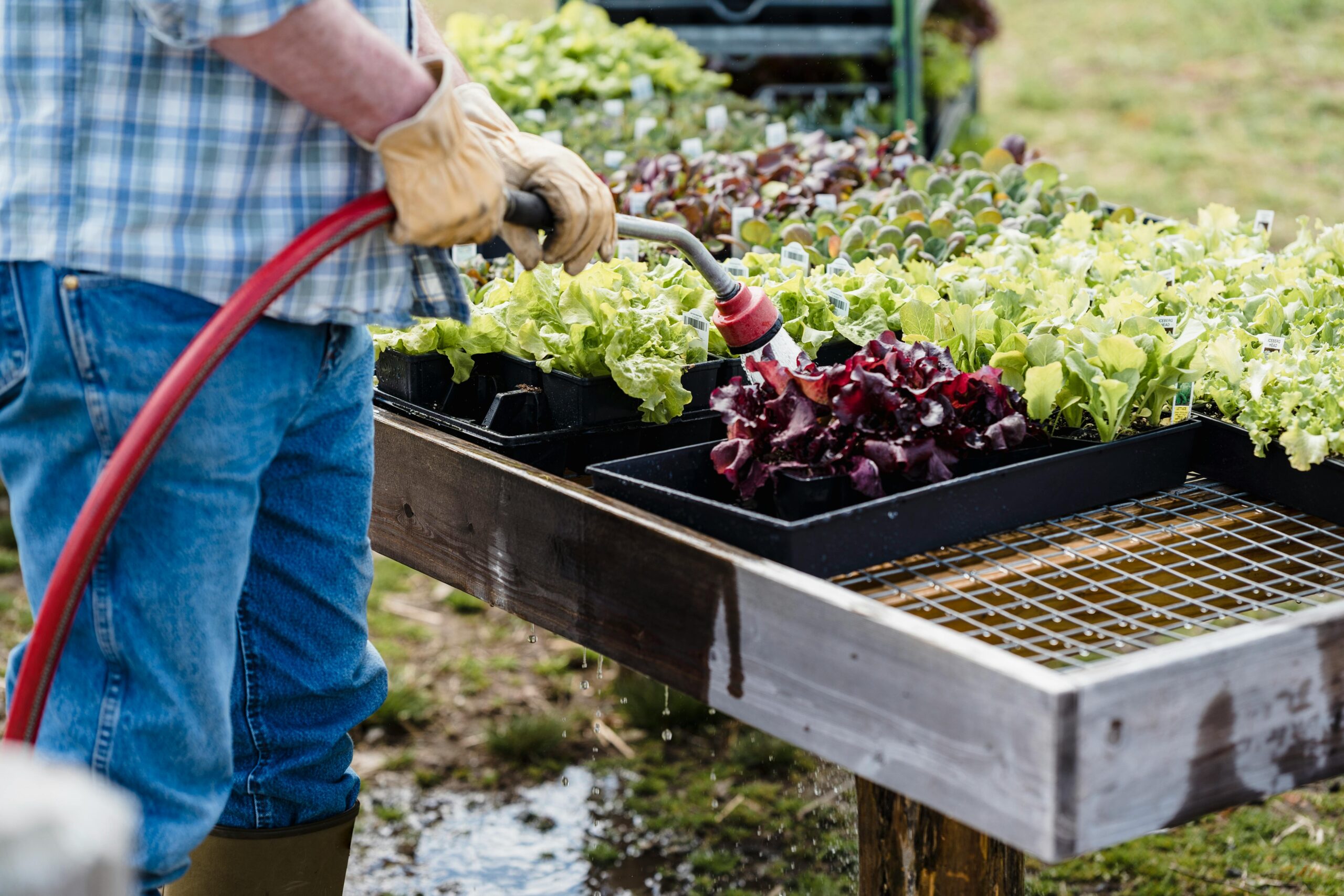 Wie lege ich einen Hochbeet-Garten an und welches Material ist dafür am besten geeignet?