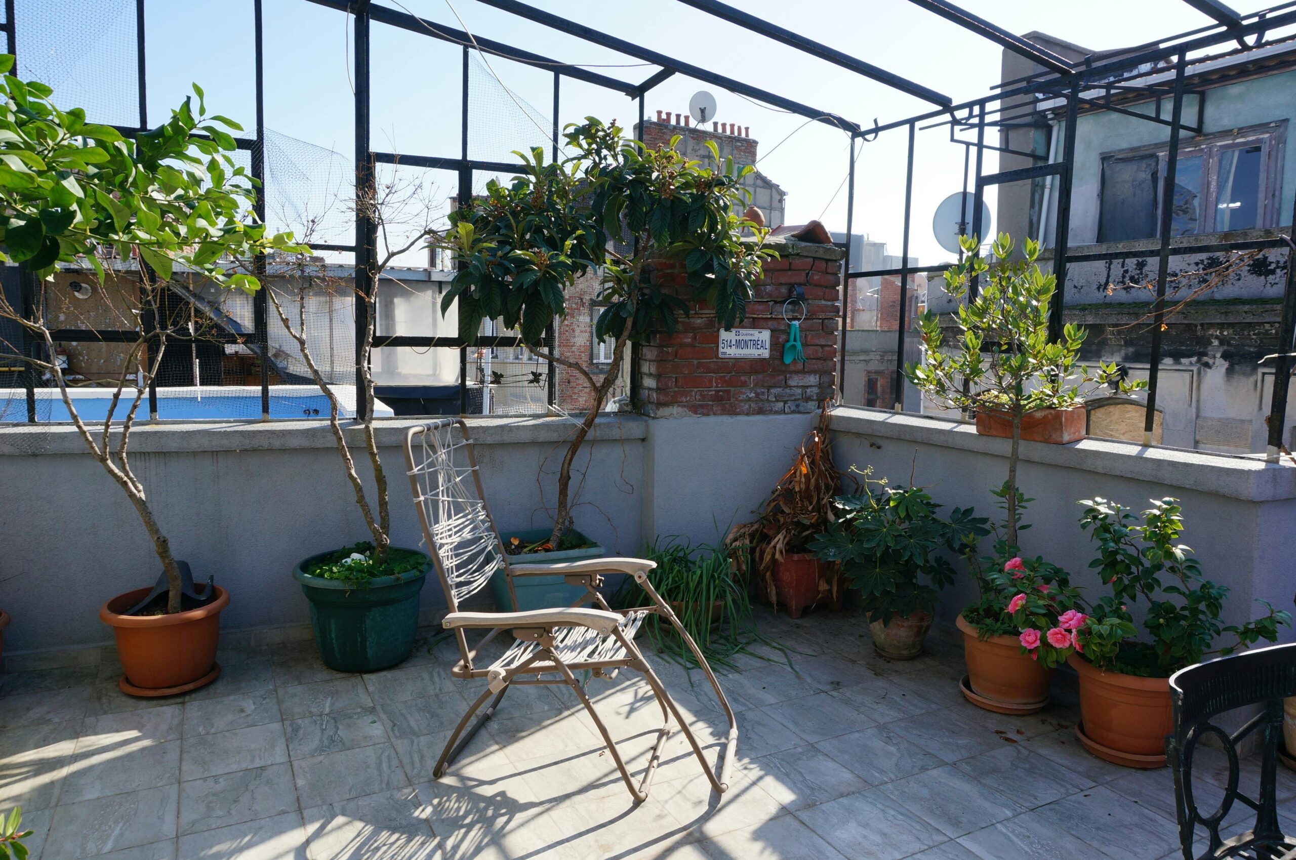 Welche Pflanzen vertragen keine direkte Sonneneinstrahlung auf dem Balkon?