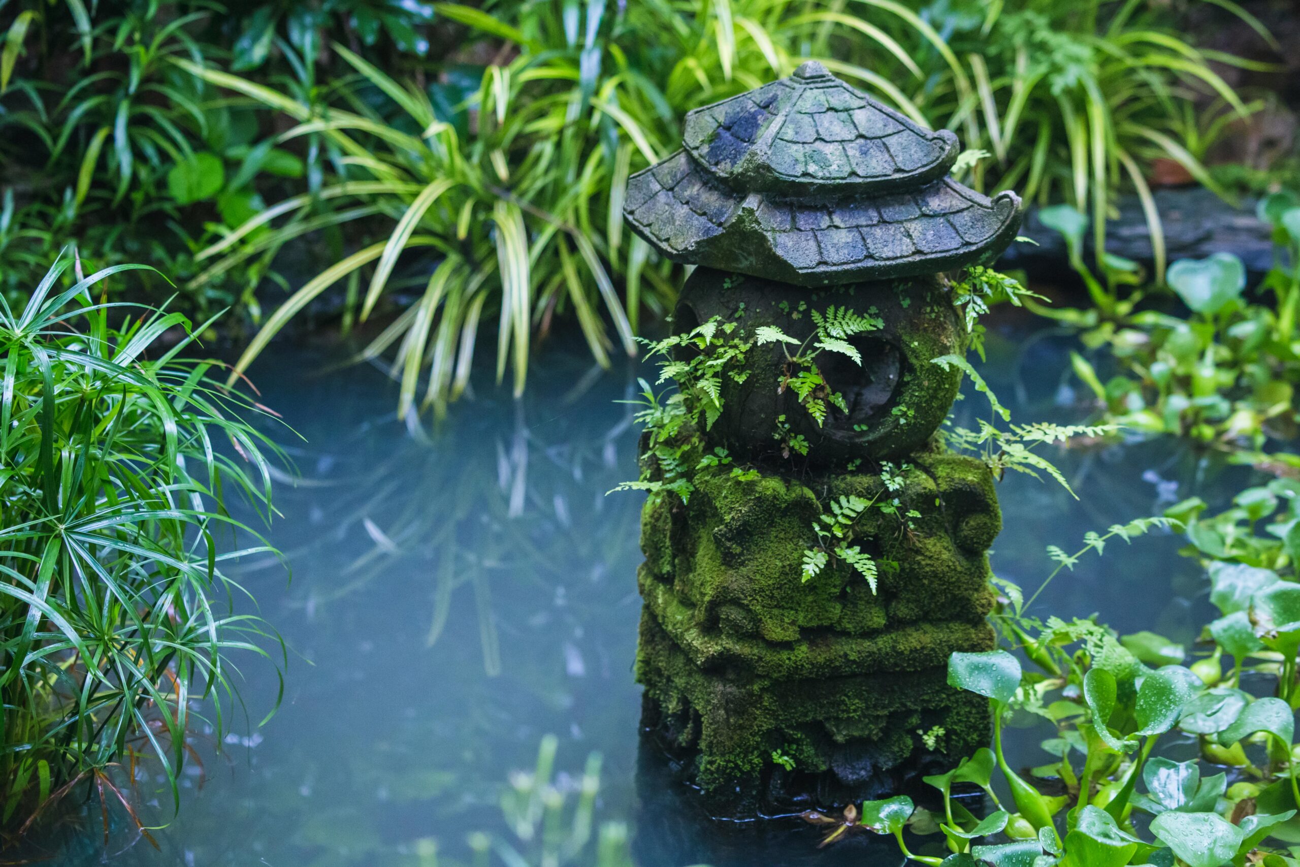 Wie verhindere ich Algenbildung im Gartenteich?