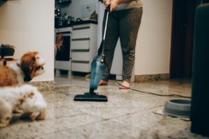 Welche Staubsaugermodelle sind ideal für Haustierbesitzer?