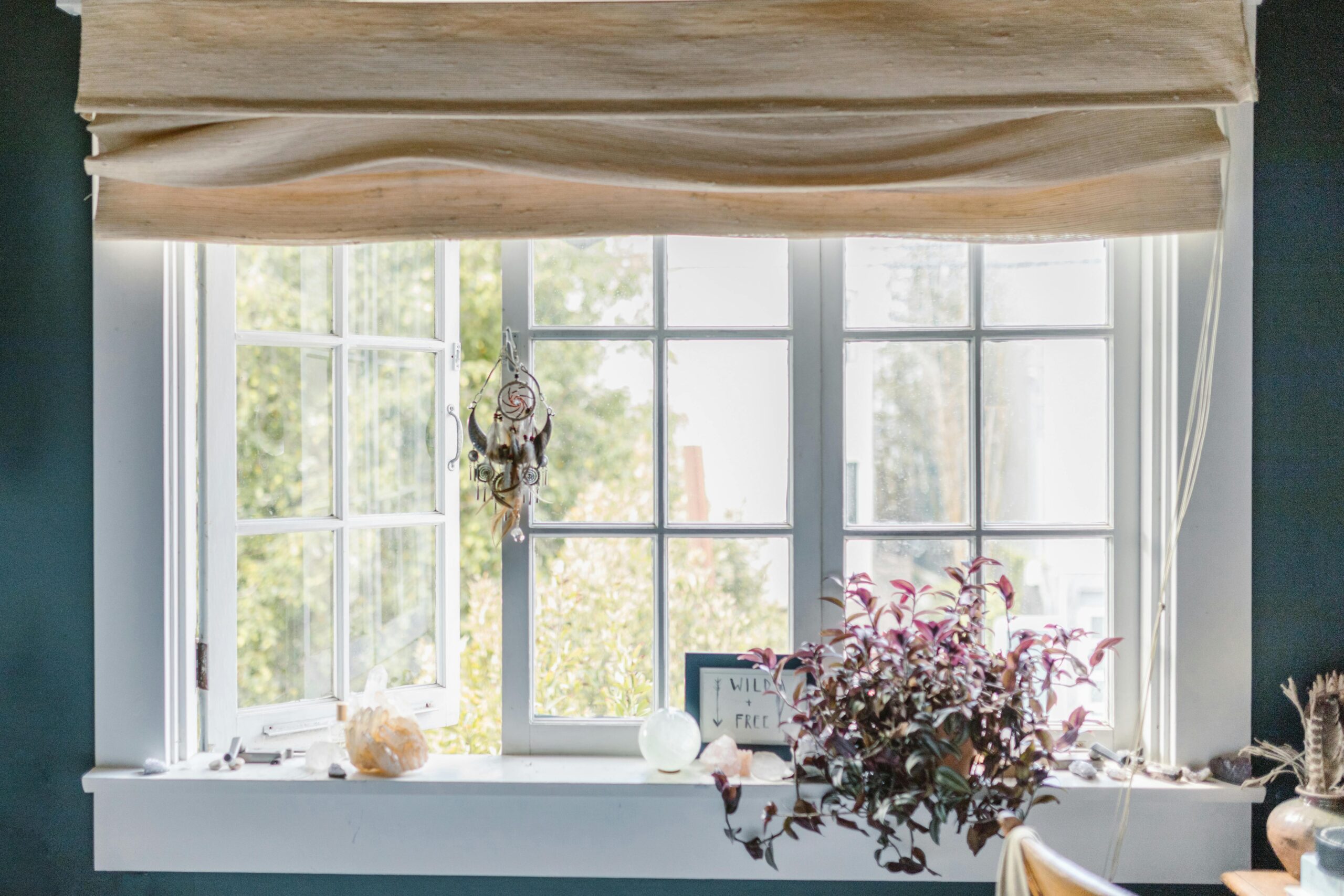 Welche Pflanzen eignen sich für ein Zimmer ohne direktes Sonnenlicht?