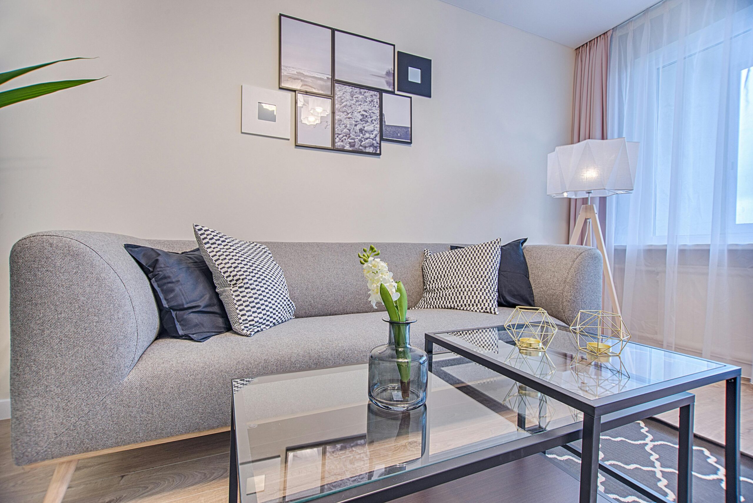 Wie entferne ich Zigarettengeruch aus meinem Sofa?
