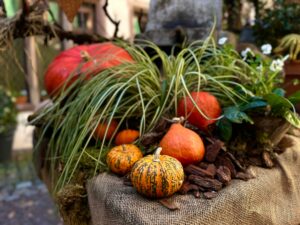 Wie kann ich meinen Garten im Herbst pflegen?