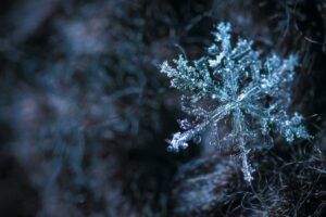 Warum pfeift meine Heizung im Winter