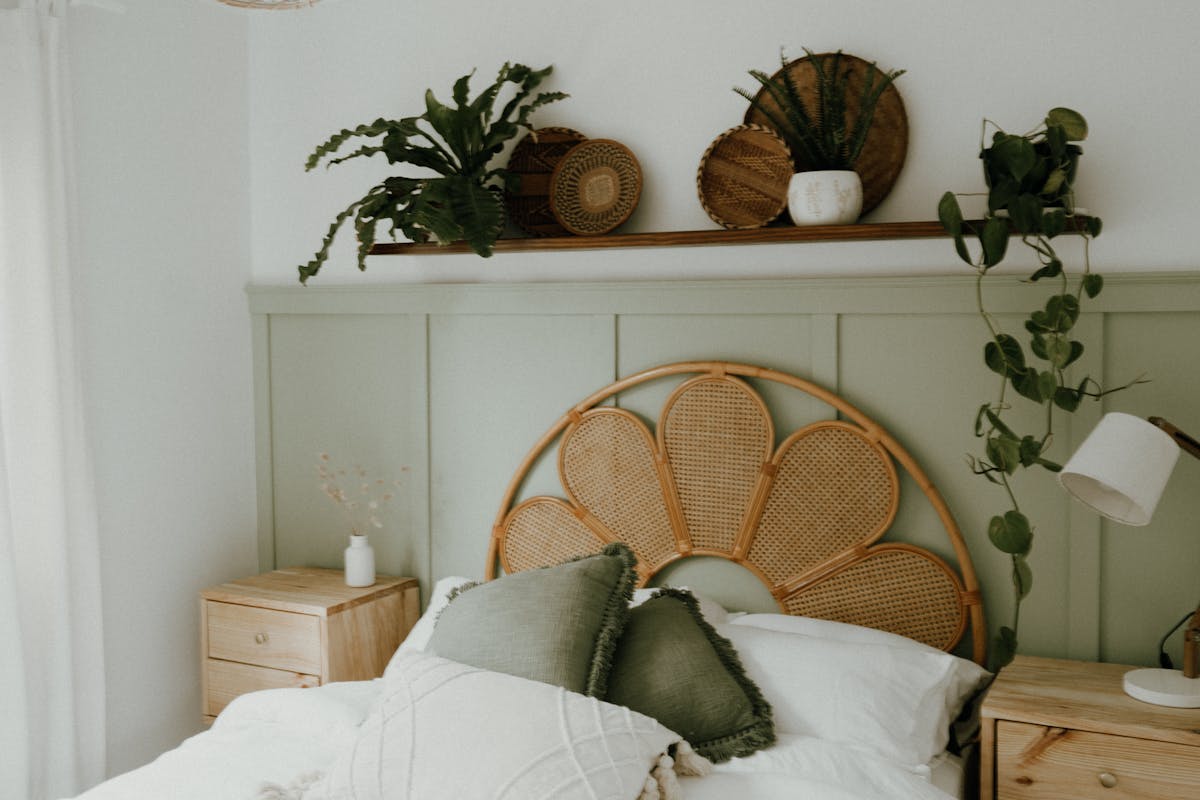 Welche Pflanzen sind ideal für ein kühles Schlafzimmer?