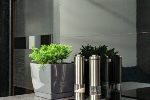 Welche Pflanzen sind ideal für eine Küche mit wenig Licht?