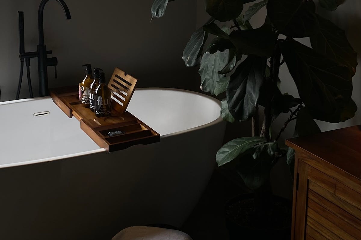 Welche Pflanzen sind ideal für ein Badezimmer mit wenig Licht?