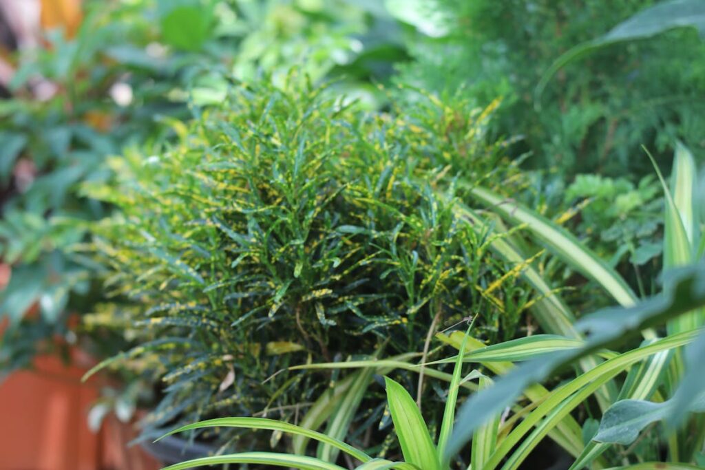 Wie kann ich meine Gartenpflanzen vor Schnecken schützen?
